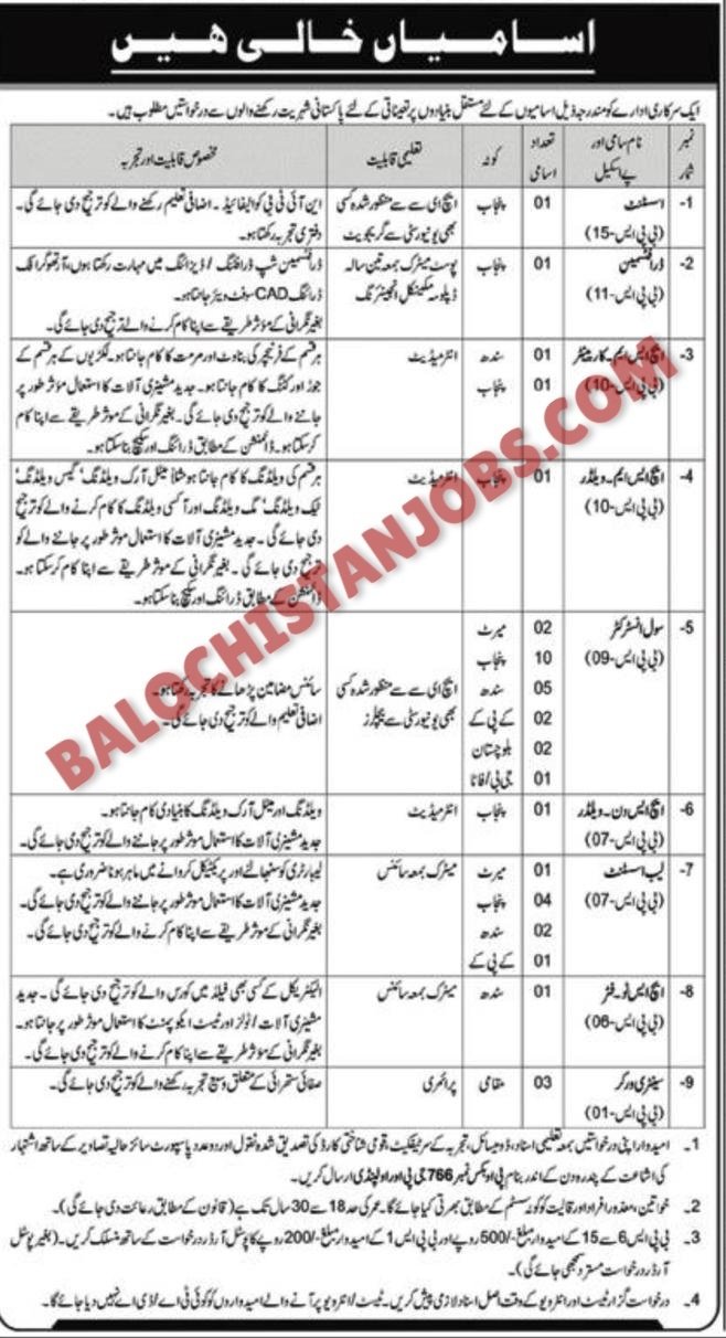 Government Organization Balochistan Jobs 2024