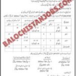 https://balochistanrozgar.com/balochistan-jobs-application-form-pdf/