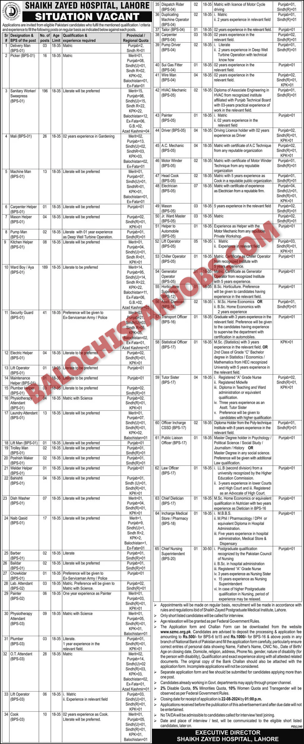 Shaikh Zayed Hospital Lahore Jobs 2024 Balochistan Quota