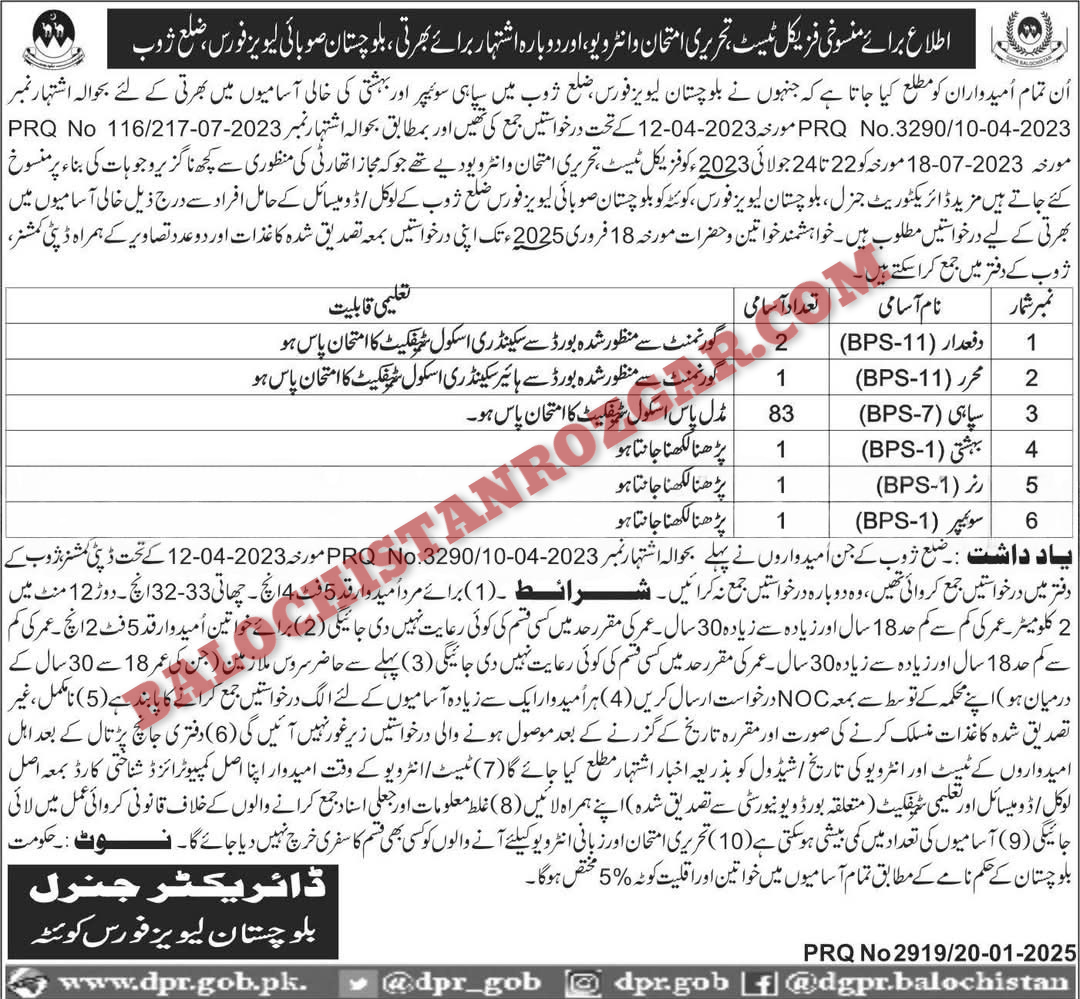 Balochistan Levis Force Zhob Jobs 2025