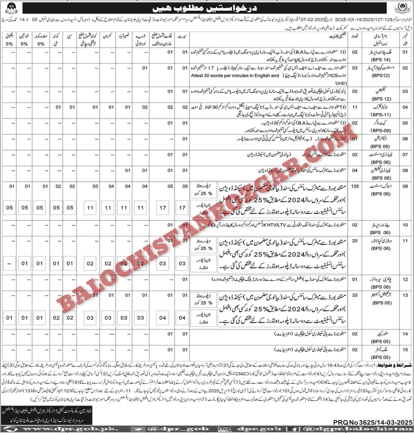 Animal Health and Extension Services Livestock Balochistan Jobs 2025 1 Animal Health and Extension Services Livestock Balochistan