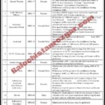 Sardar Bahadur Khan Women University SBK Jobs 2025