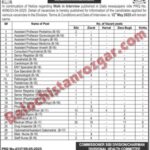 Health Services Sibi Division