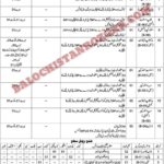 Directorate of Manpower Training Balochistan