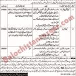 Population Welfare Department Balochistan