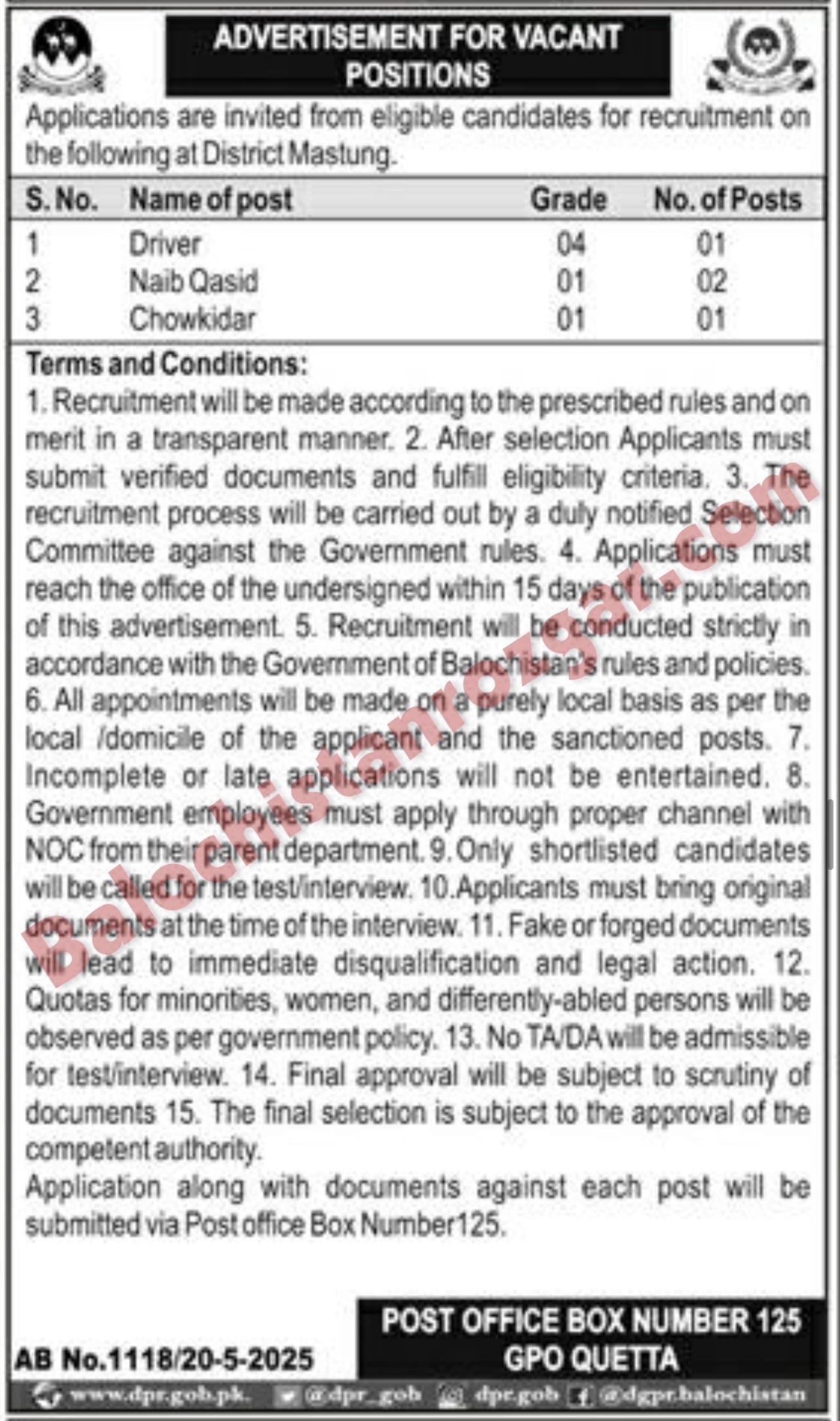 Public Sector Organization Mastung Jobs 2025
