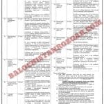 Lasbela University LUAWMS Uthal