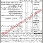 Social Welfare Department