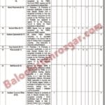 Health Services Quetta Division