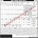 Population Welfare Department Balochistan
