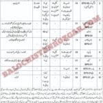 Social Welfare Department Balochistan