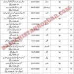 Social Welfare Department Balochitsn