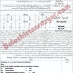 Education Department Quetta
