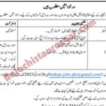NGO Balochistan