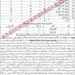 School Education Department Qilla Saifullah
