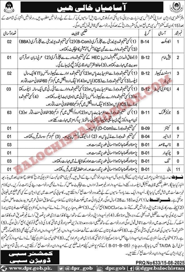 Deputy Commissioner Sibi Division Revenue Jobs 2025