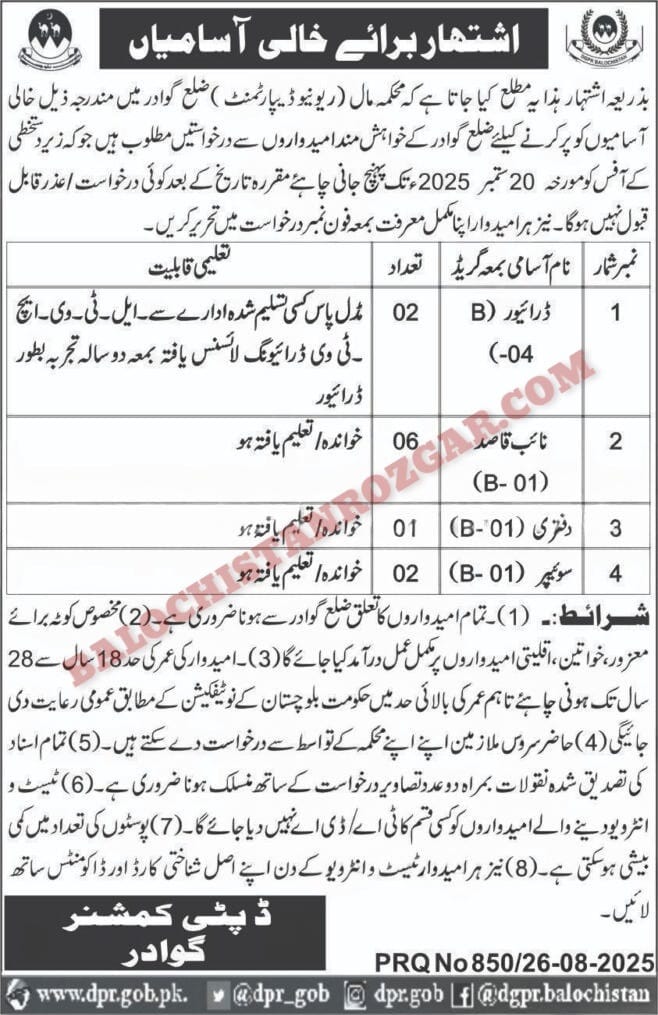 Deputy Commissioner Office Revenue Department Gwadar Jobs 2025