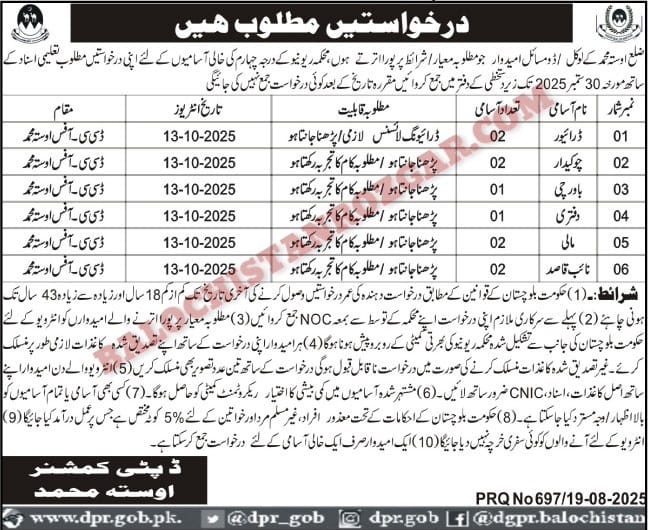 Deputy Commissioner DC Office Revenue Usta Muhammad Jobs 2026