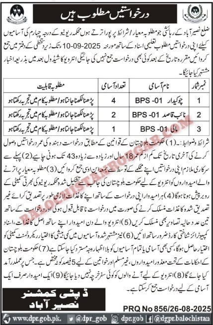 Deputy Commissioner Office Revenue Department Naseerabad Jobs 2025