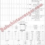Agriculture Engineering Balochistan