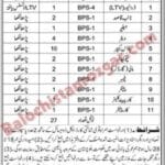 District Council Sibi