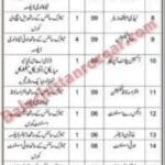 Health Department District Teaching Hospital Sibi