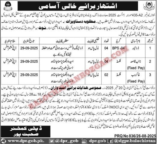 Deputy Commissioner Office Revenue Department Sohbatpur Jobs 2025