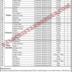 Micromerger NGO Balochistan Jobs 2025 1 MicroMerger Balochistan