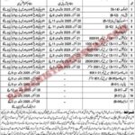 Revenue Department Sibi Division
