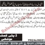 Deputy Commissioner Revenue Department Nushki