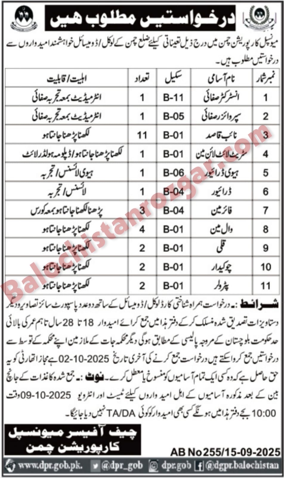 municipal Committee MC chaman