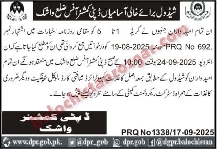 Deputy Commissioner Revenue Department Washuk