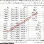 Health Department lasbela