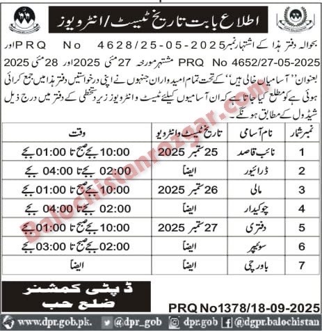 Deputy Commissioner Revenue Hub Jobs Test Interview 2025