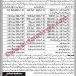 Assistant Commissioner Political Naseerabad