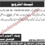 District Council Sibi