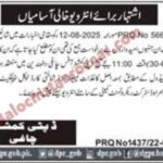 Deputy Commissioner Revenue Chaghi