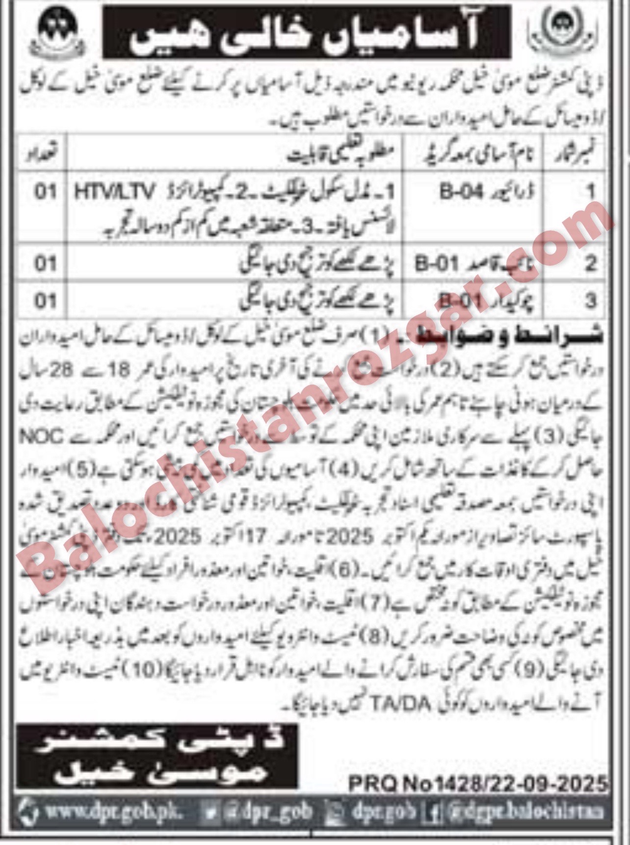 Deputy Commissioner Revenue Musa Khail jobs 22025