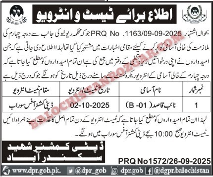 Deputy Commissioner Revenue Shaheed Sikandar Abad
