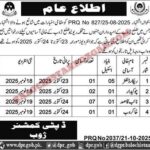 Deputy Commissioner Revenue Zhob