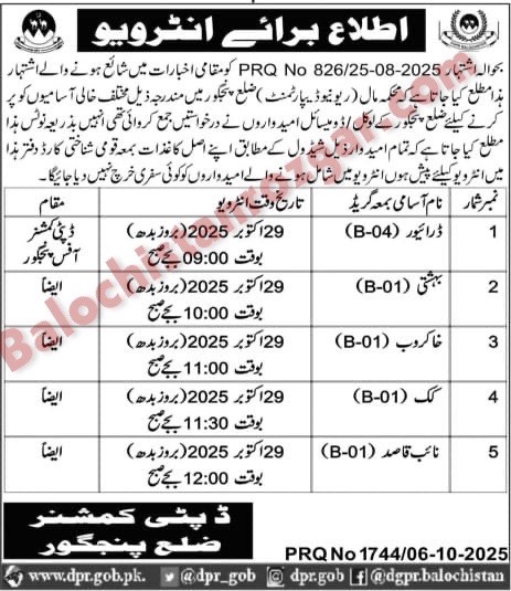 Deputy Commissioner Office Revenue Department Panjgur Jobs 2025