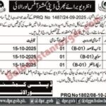 Deputy Commissioner Revenue Loralai