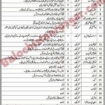 Social Welfare Department Balochistan
