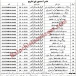 Forest Department