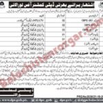 Deputy Commissioner Revenue