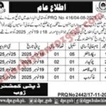 Deputy Commissioner Revenue