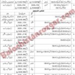 Law and Juvenile affairs Balochistan