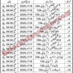 Teaching hospital Panjgur