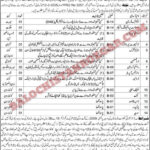 Mines and Minerals Department Balochistan