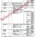 Anti Narcotics Force ANF